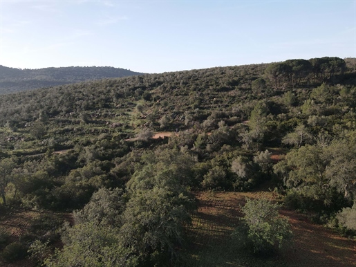 Enormous plot of land (369.000m2) with a ruin, close to Loulé