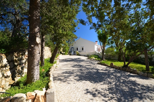 Renovated villa with pool in quiet location
