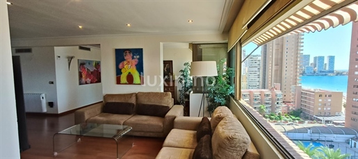 Purchase: Apartment (03500)