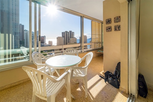 Purchase: Apartment (03500)
