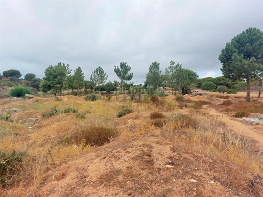 Terrain de 9750m2 avec projet de centre sportif, à Vale Carro - Albufeira