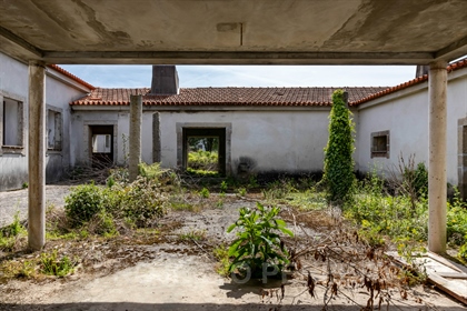 Real estate land Sell em Grijó e Sermonde,Vila Nova de Gaia