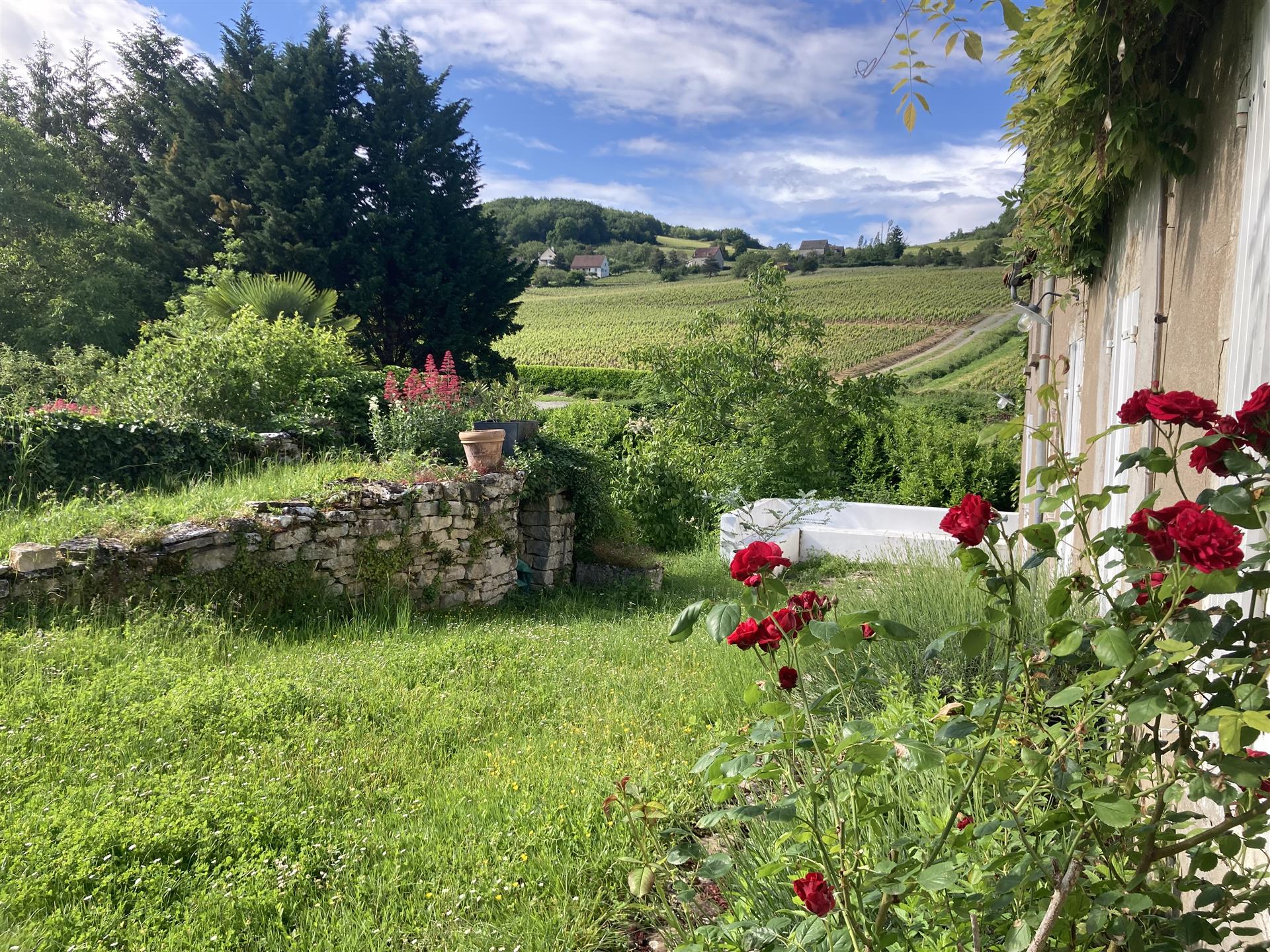 Entre Buxy Et Givry, Bourgogne Cote Chalonnaise, Magnifique ensemble immobilier sur son terrain clos