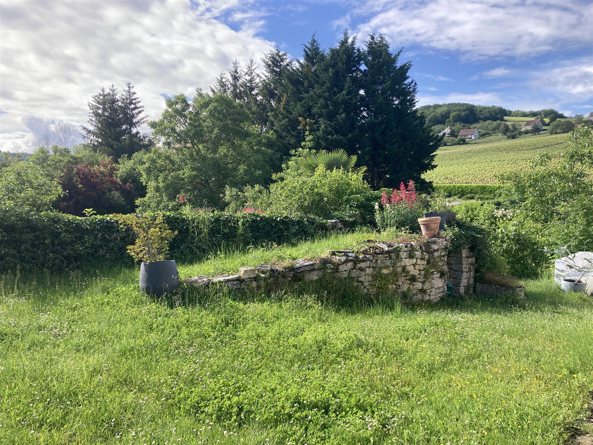 Entre Buxy Et Givry, Bourgogne Cote Chalonnaise, Magnifique ensemble immobilier sur son terrain clos
