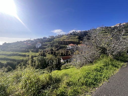 Terrain rural Vente dans Estreito da Calheta,Calheta (Madeira)