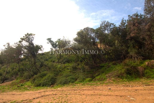 Quiet, serviced land near Agosta Plage with mountain views.