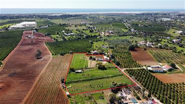 Quinta agrícola com projeto aprovado a 6 km de Tavira