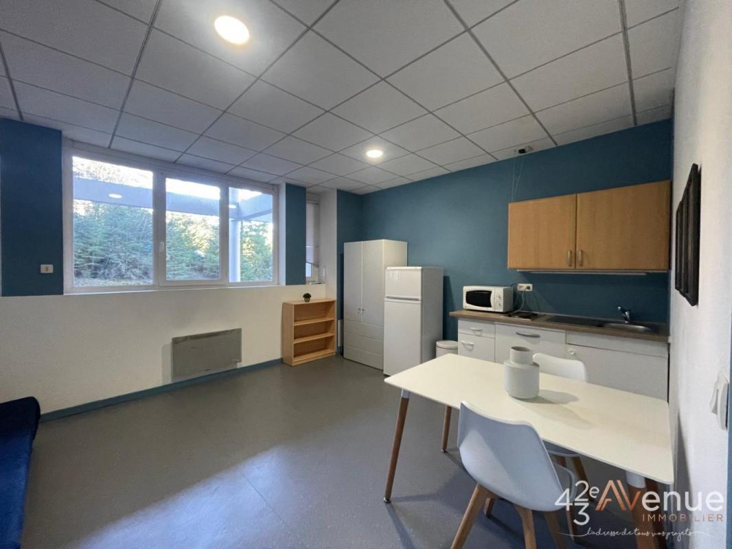 Appartement à vendre, 39m², Saint-Etienne