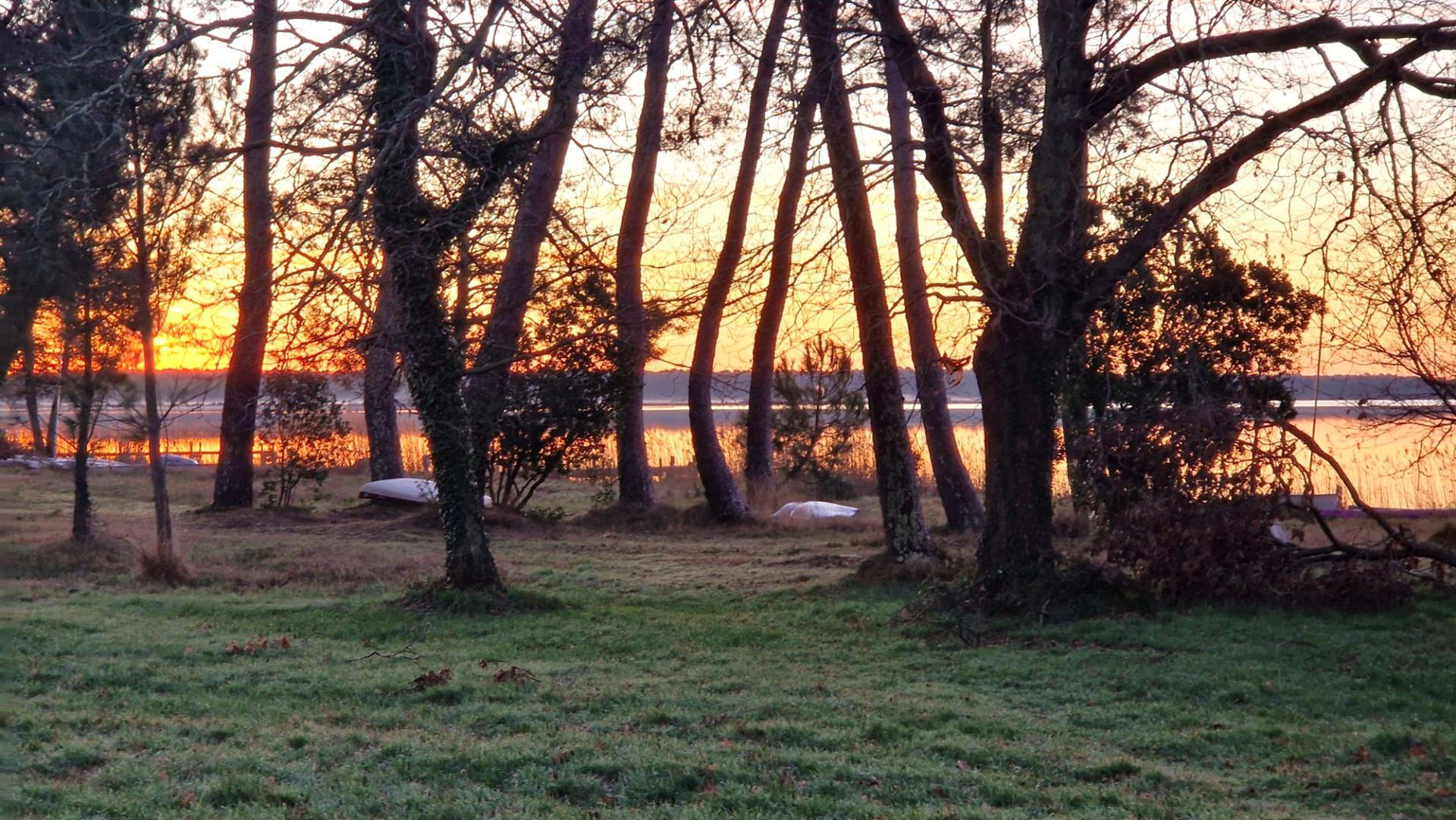 Maison à vendre, 55m², Lacanau