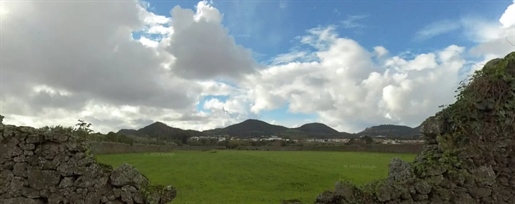 Agricultural Land - Pico da Pedra