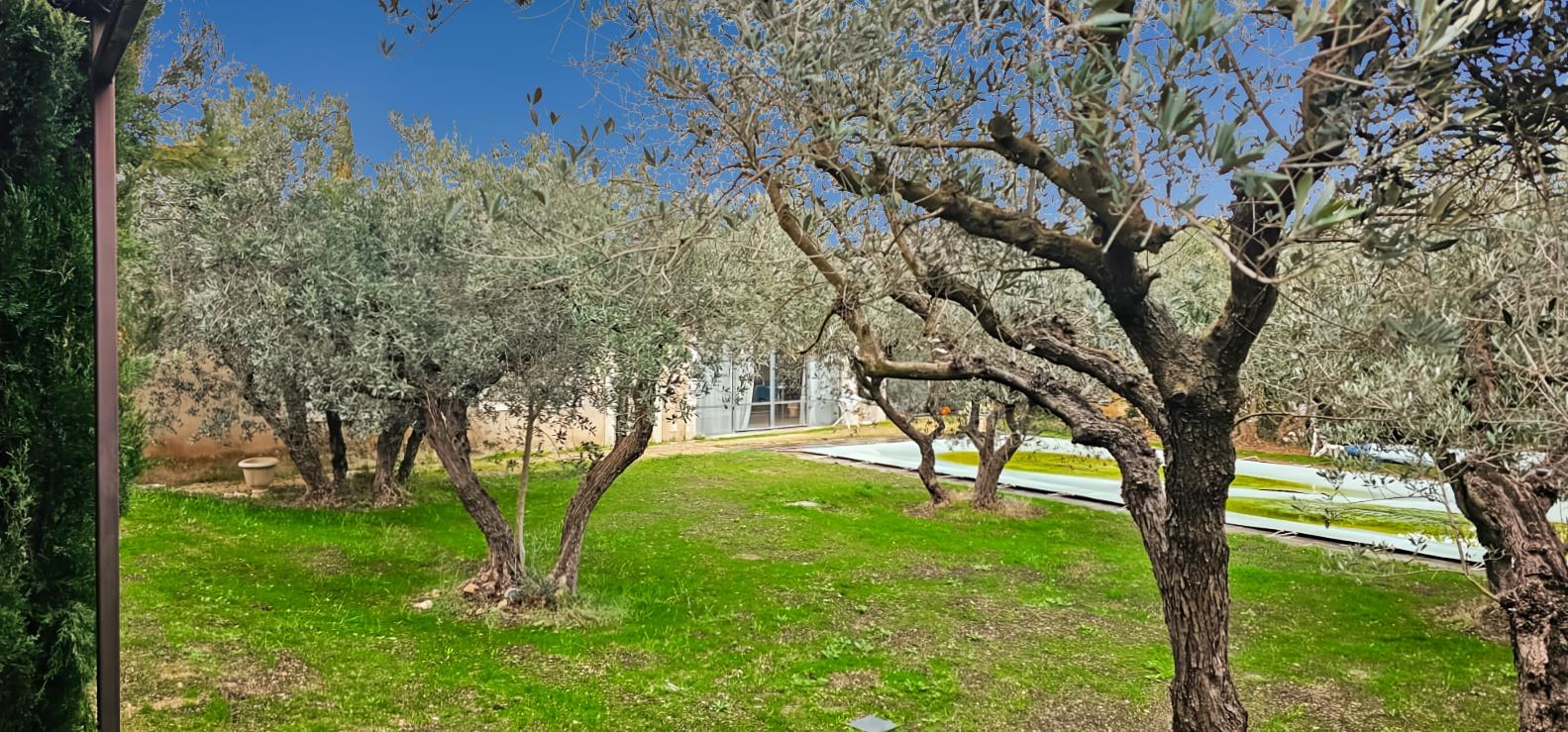 Maison à vendre, 300m², Saint-Rémy-de-Provence