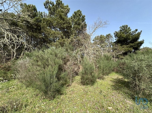 Ground in Torre do Terrenho, Sebadelhe da Serra e Terrenho with 21741,00 m²