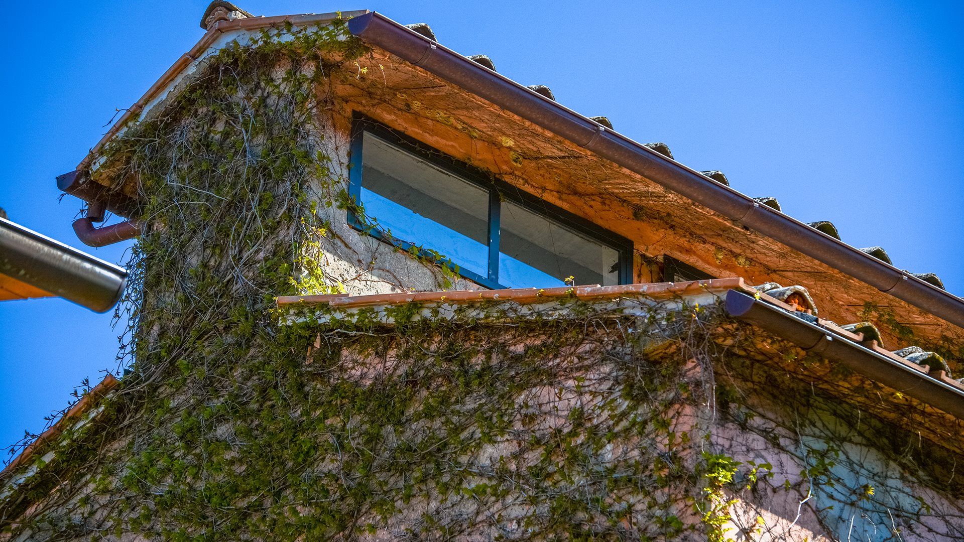 Additional image 11 of Basques (Provincia di Terni)