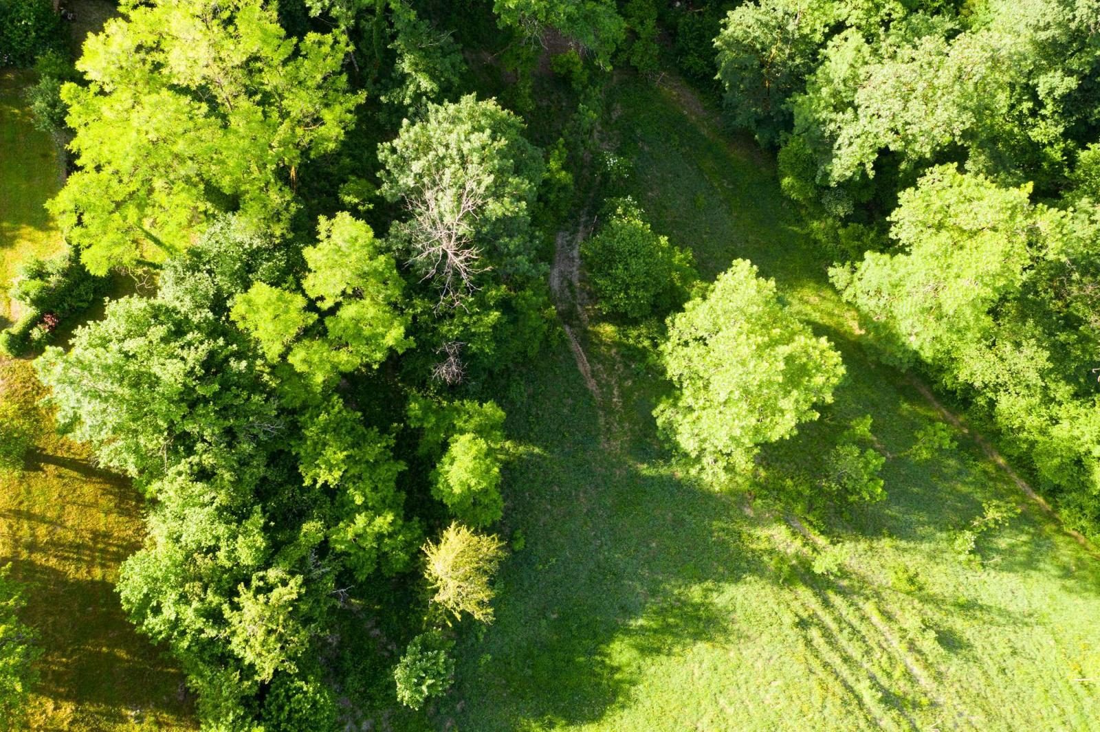 Ancienne ferme rénovée sur 3,4 ha à Alby-sur-Chéran Havr