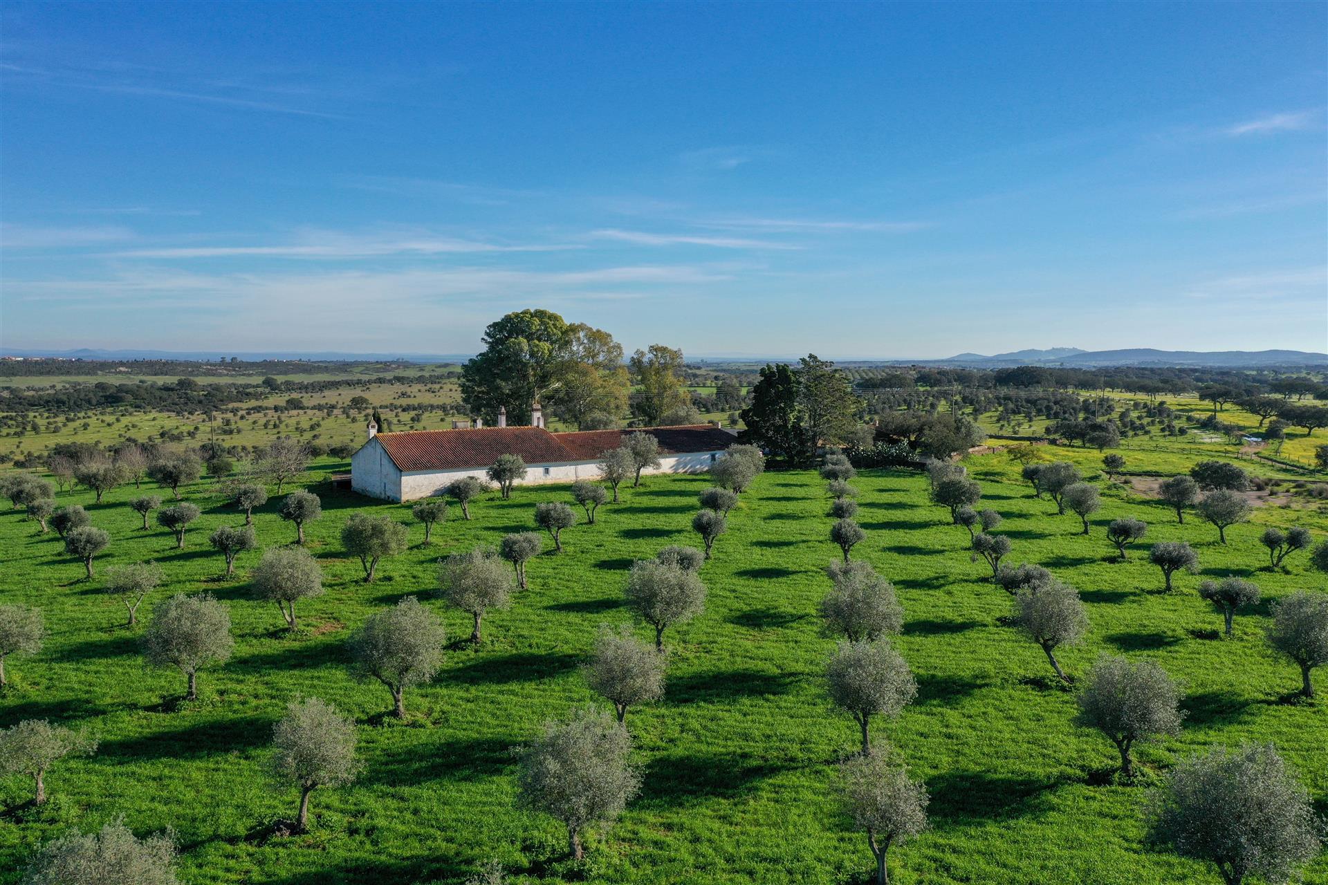 Monte Alentejano w Alandroal, Évora