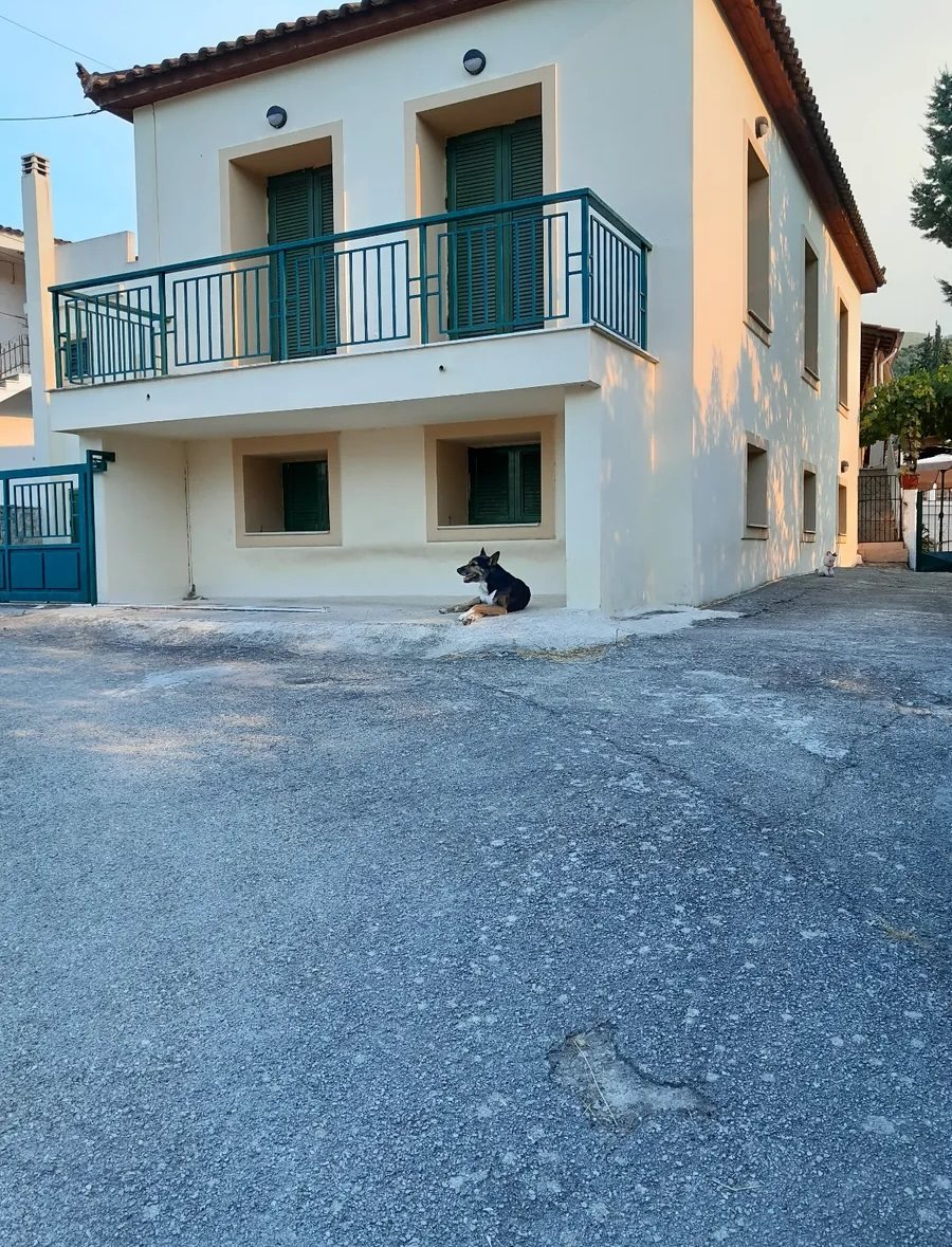 Πωλείται μονοκατοικία υψηλής ποιότητας και αισθητικής στο Σουληνάρι Κορινθίας συνολικής επιφανείας 1