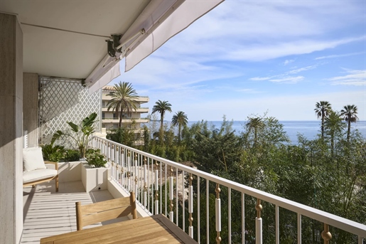 Cannes (Alpes-Maritimes)
