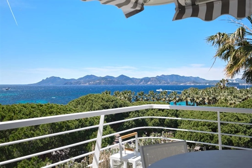 Additional image 16 of Cannes (Alpes-Maritimes)