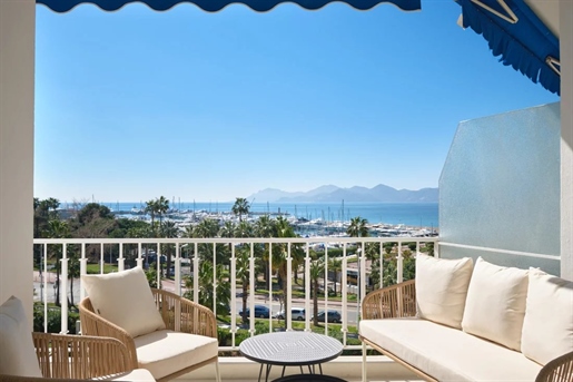 Cannes (Alpes-Maritimes)