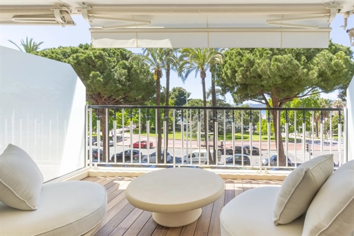 Cannes (Alpes-Maritimes)