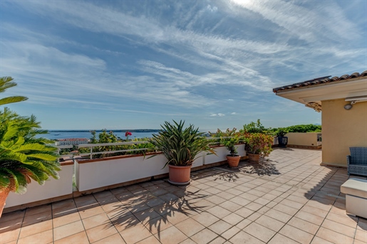 Additional image 14 of Cannes (Alpes-Maritimes)