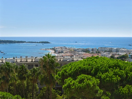 Additional image 2 of Cannes (Alpes-Maritimes)