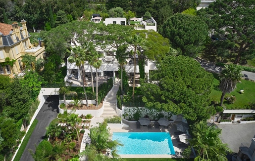 Additional image 20 of Cannes (Alpes-Maritimes)