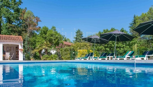 Charming Bed & Breakfast , 3 buildings, plot 7890 sqm, swimming pool and tennis court in Les Arcs
