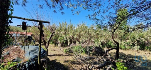 Tierra en el Lisboa, Mafra