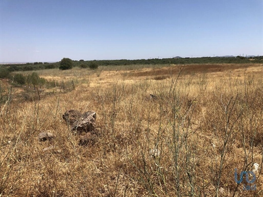 Terreno Agrícola em Moura (Santo Agostinho e São João Baptista) e Santo Amador de 22500,00 m²