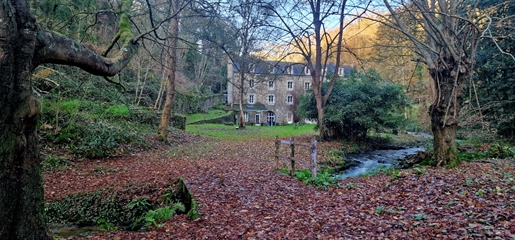 In Dinan, in the Argentel Valley, Old Mill on wooded park crossed by the river, 1.5 hectares