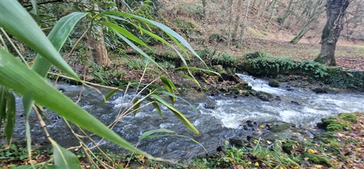 In Dinan, im Argentel-Tal, Alte Mühle auf bewaldetem Park, der vom Fluss durchquert wird, 1,5 Hektar