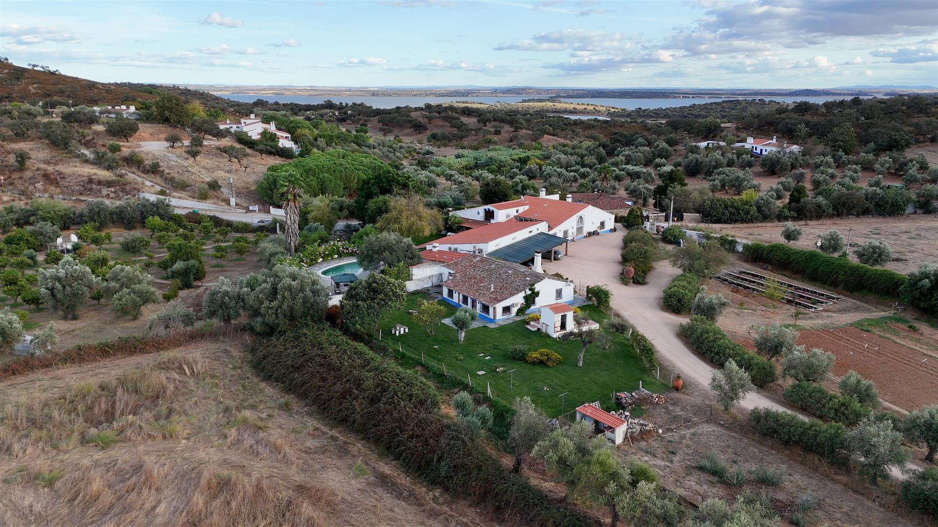Farm | For Sale | Alentejo