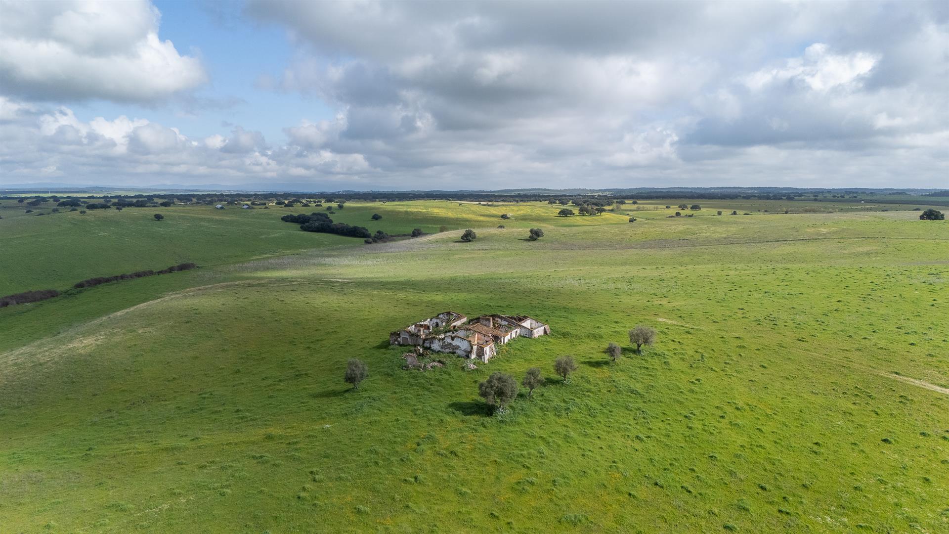 Homestead | For Sale | Alentejo | Évora