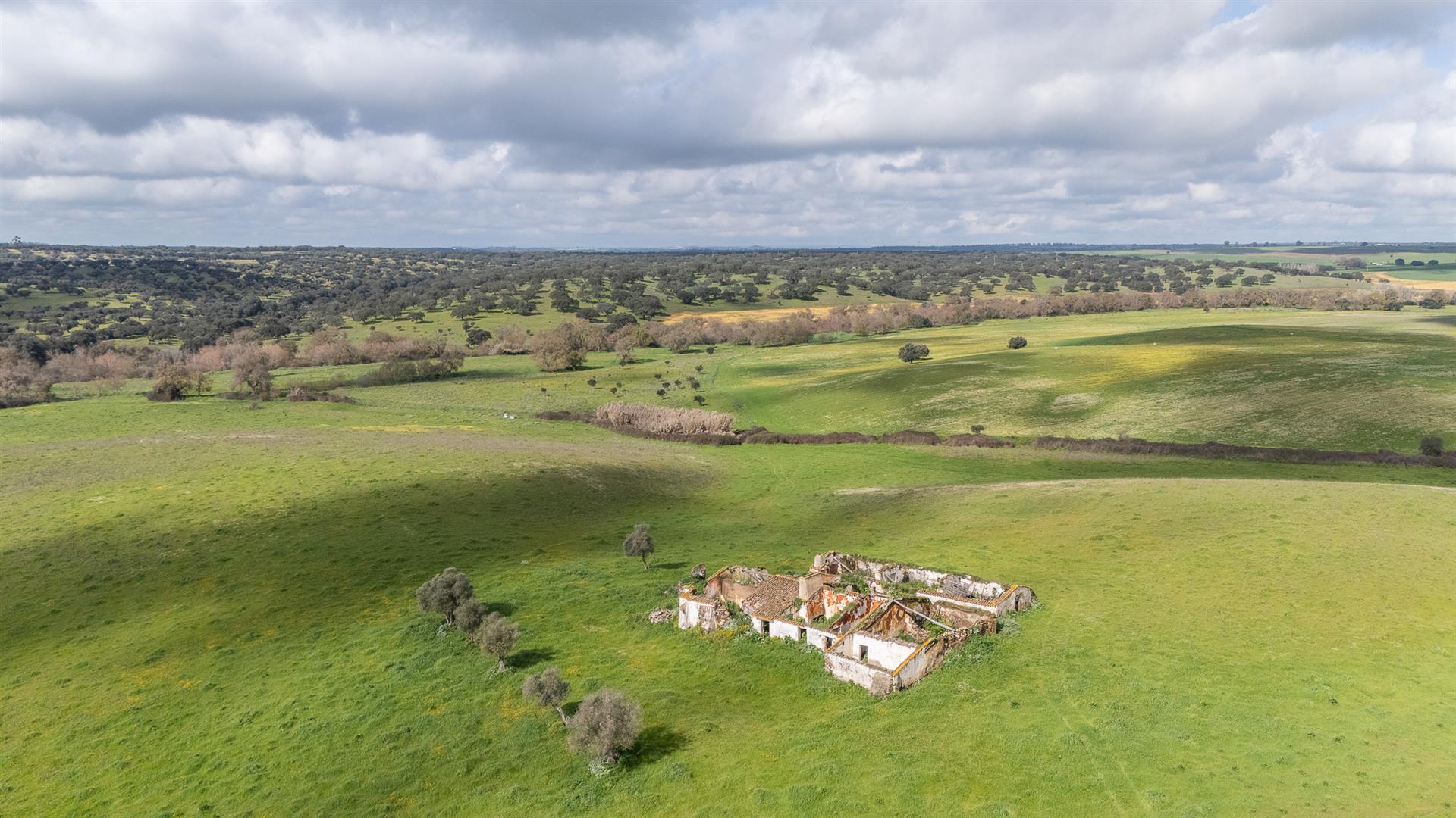 Homestead | For Sale | Alentejo | Évora