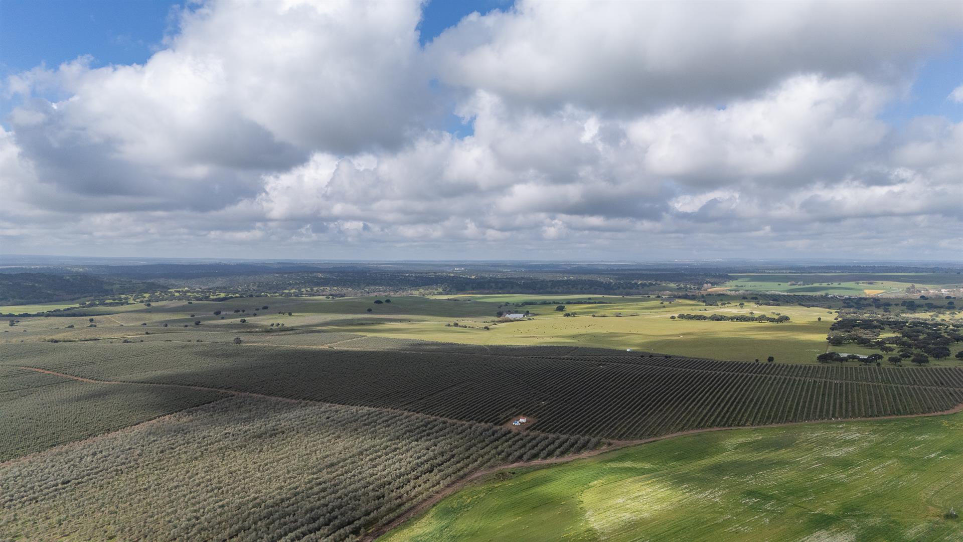 Homestead | For Sale | Alentejo | Évora