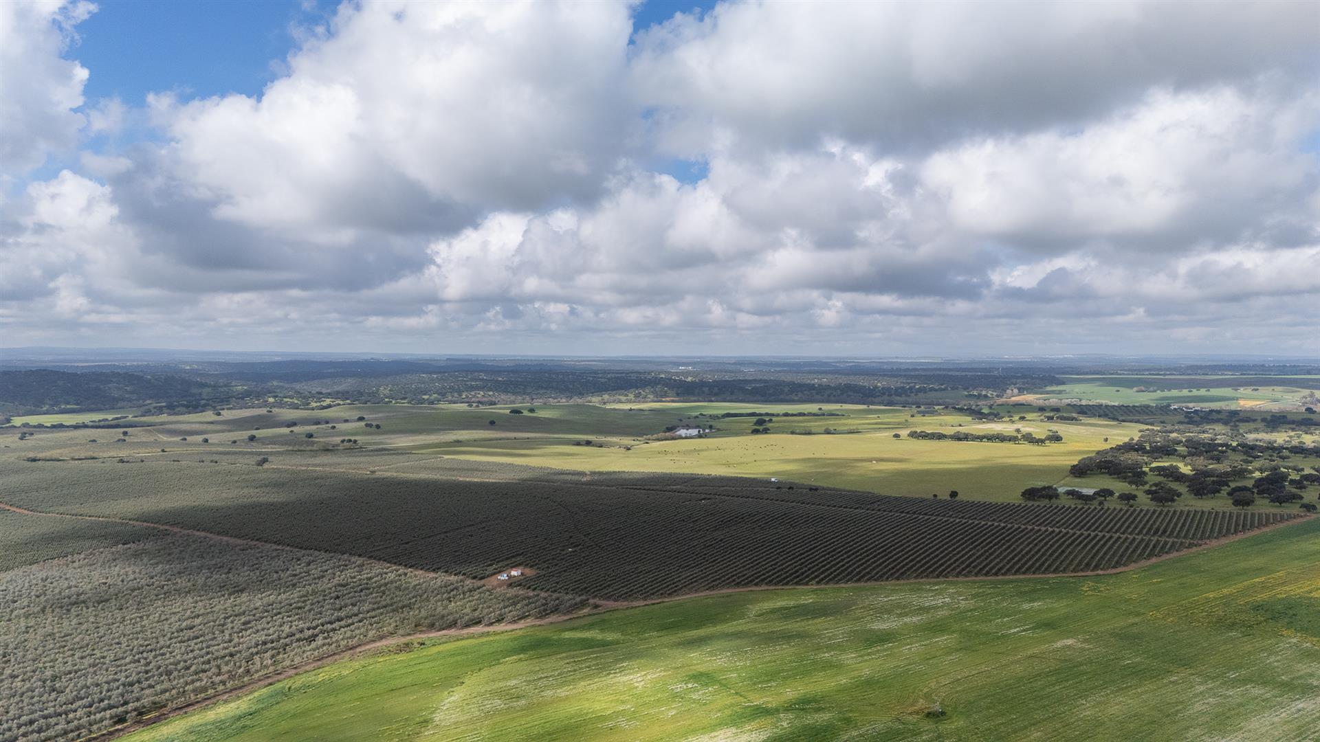 Homestead | For Sale | Alentejo | Évora