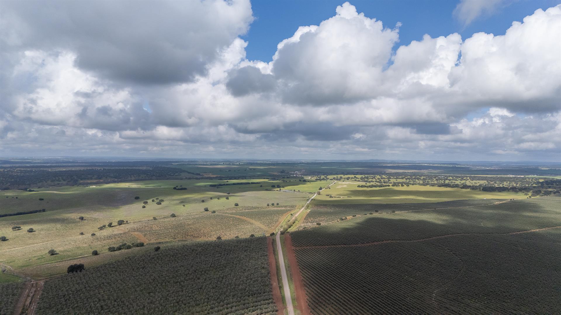 Homestead | For Sale | Alentejo | Évora