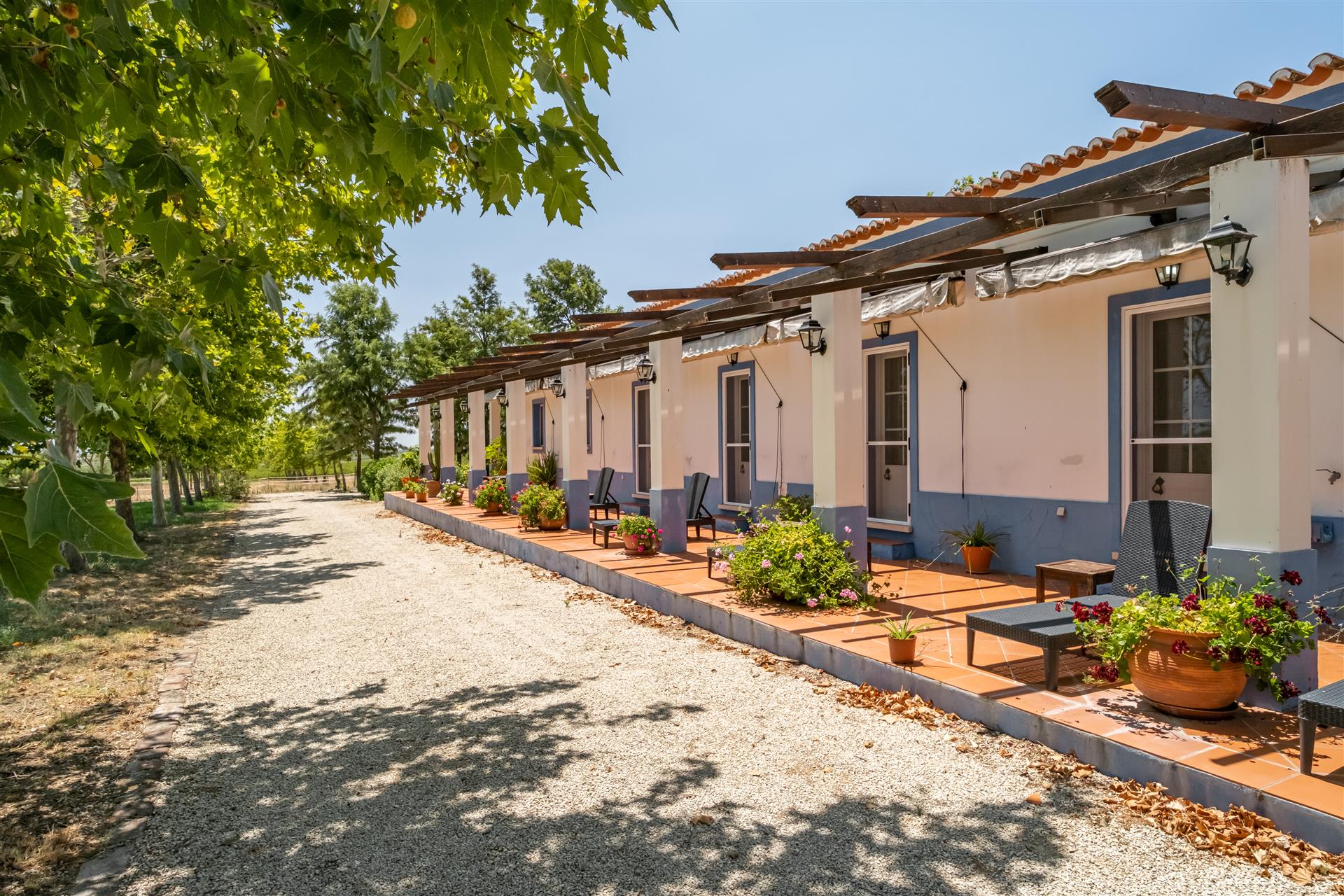 Bauernhof|Zu verkaufen|Alentejo|Portugal