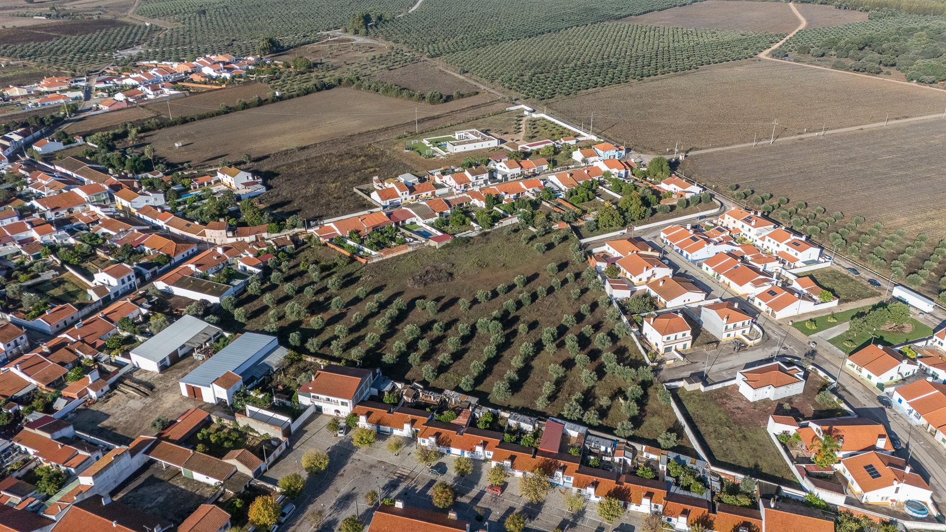 Farm | For Sale| Alentejo