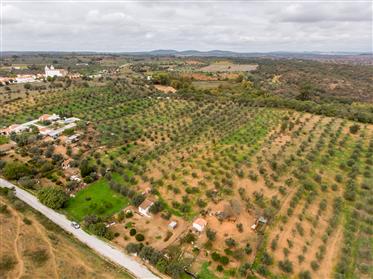 Grundstück|Zu verkaufen|Alentejo|Portugal