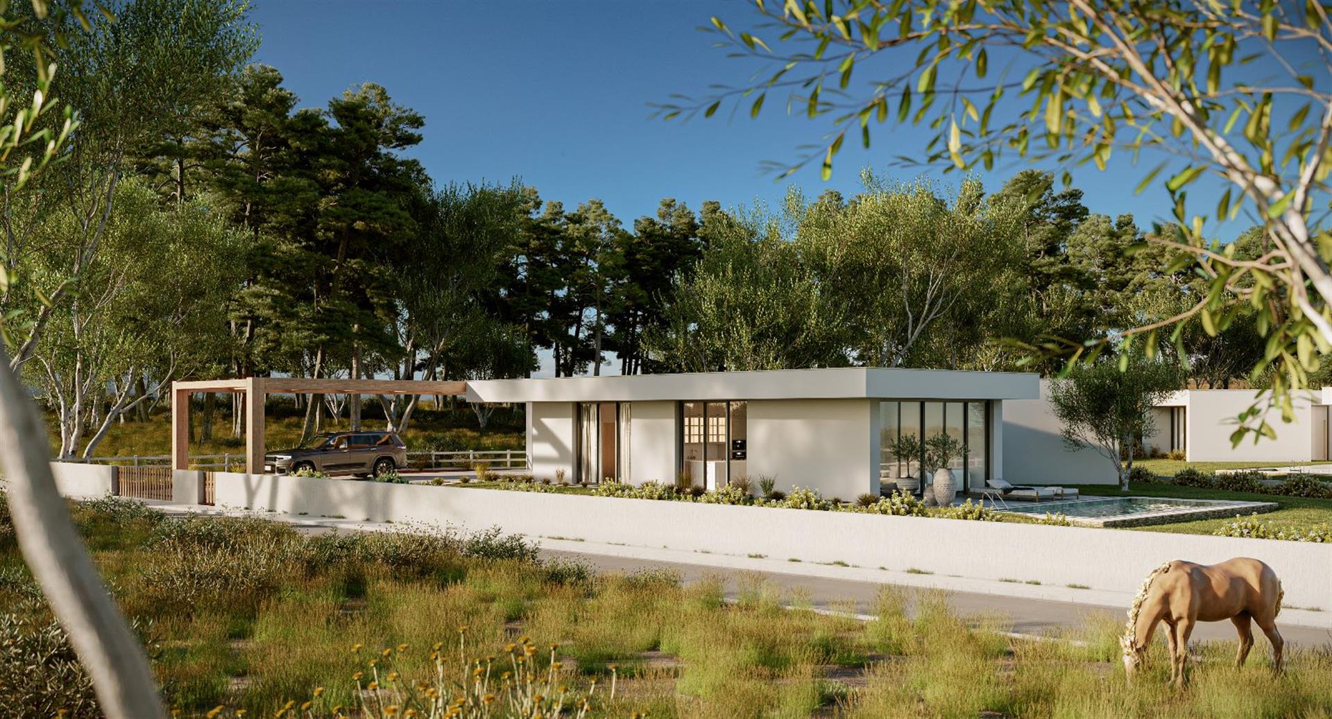   2-Villa Project – Your Private Oasis in Woodland