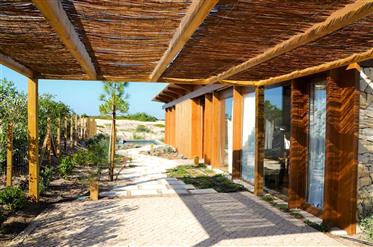 Experience Luxurious Coastal Living at the Condominium's Exclusive Twin Villas