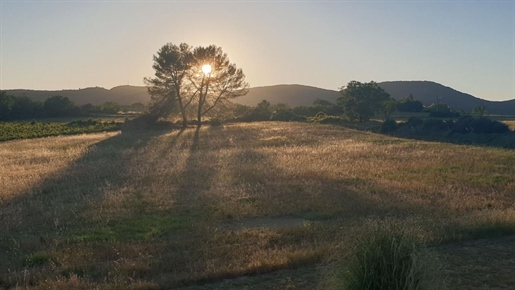 Αγορά : Κατοικία (07460)