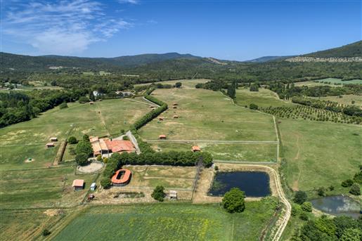 Private stud farm on 56 hectares