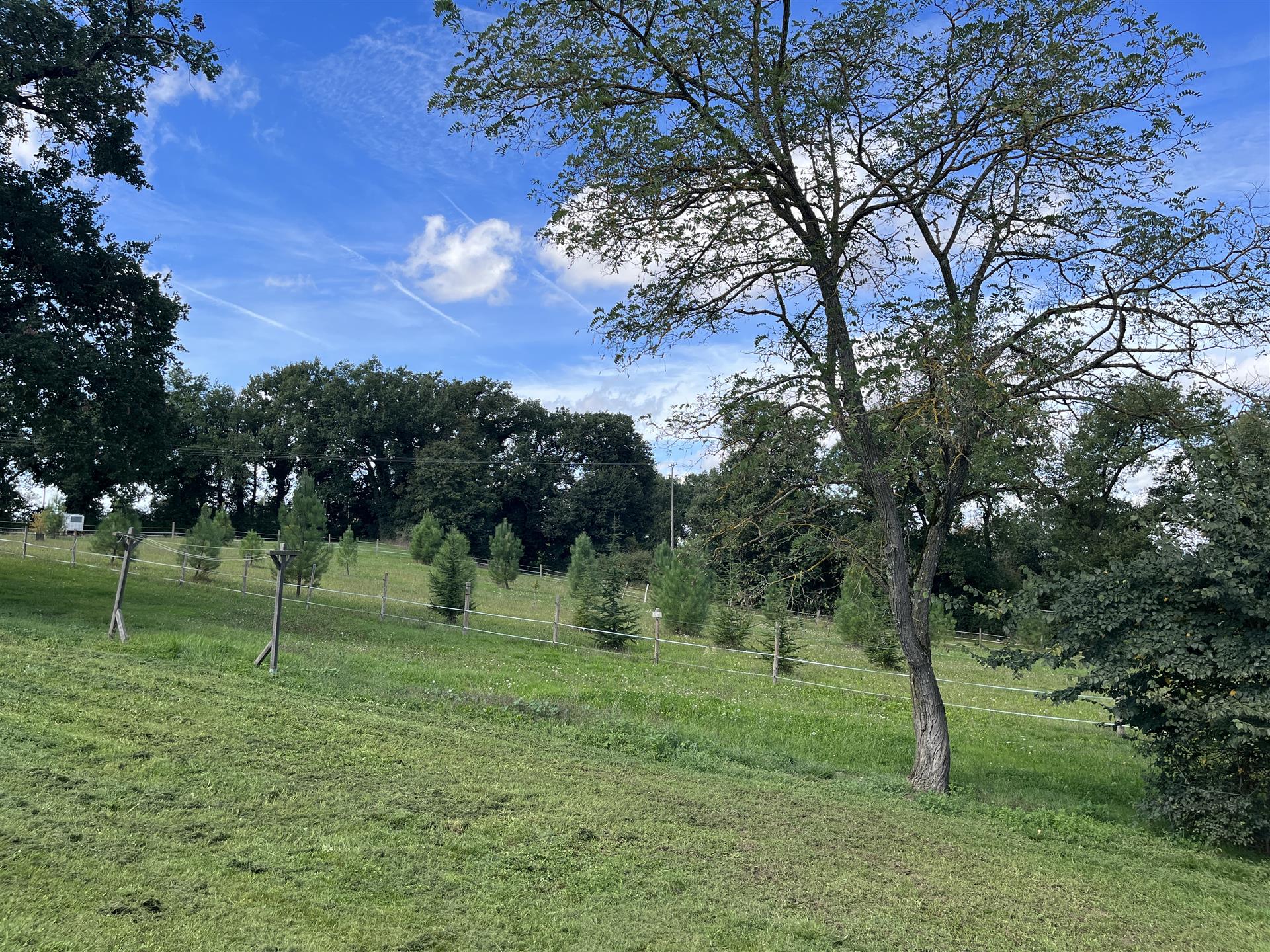 Property 320m² with 2 Houses on 2Ha8