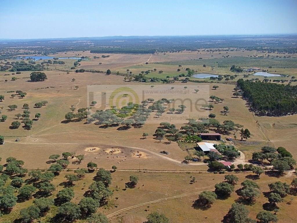 Estate with 45 hectares Montemor-o-Novo