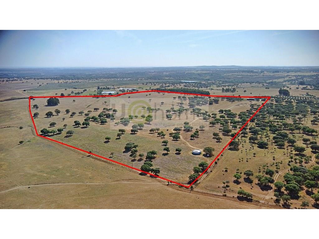 Estate with 45 hectares Montemor-o-Novo
