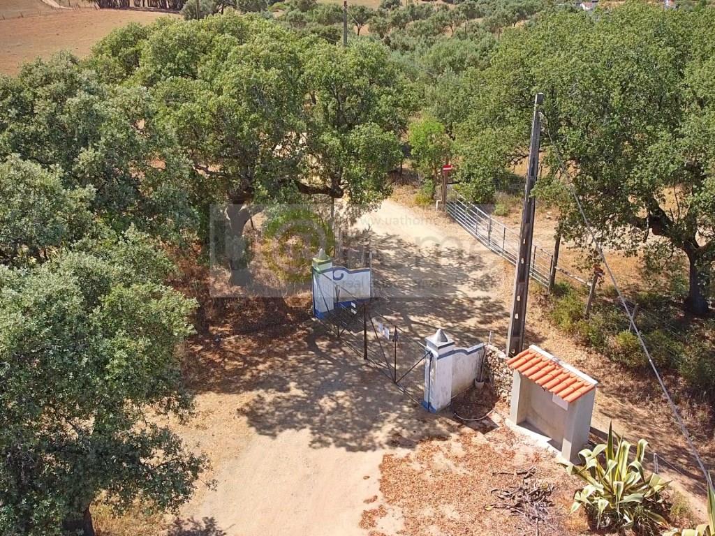 Estate with 45 hectares Montemor-o-Novo