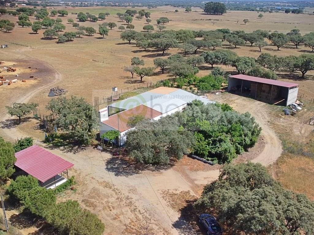 Estate with 45 hectares Montemor-o-Novo